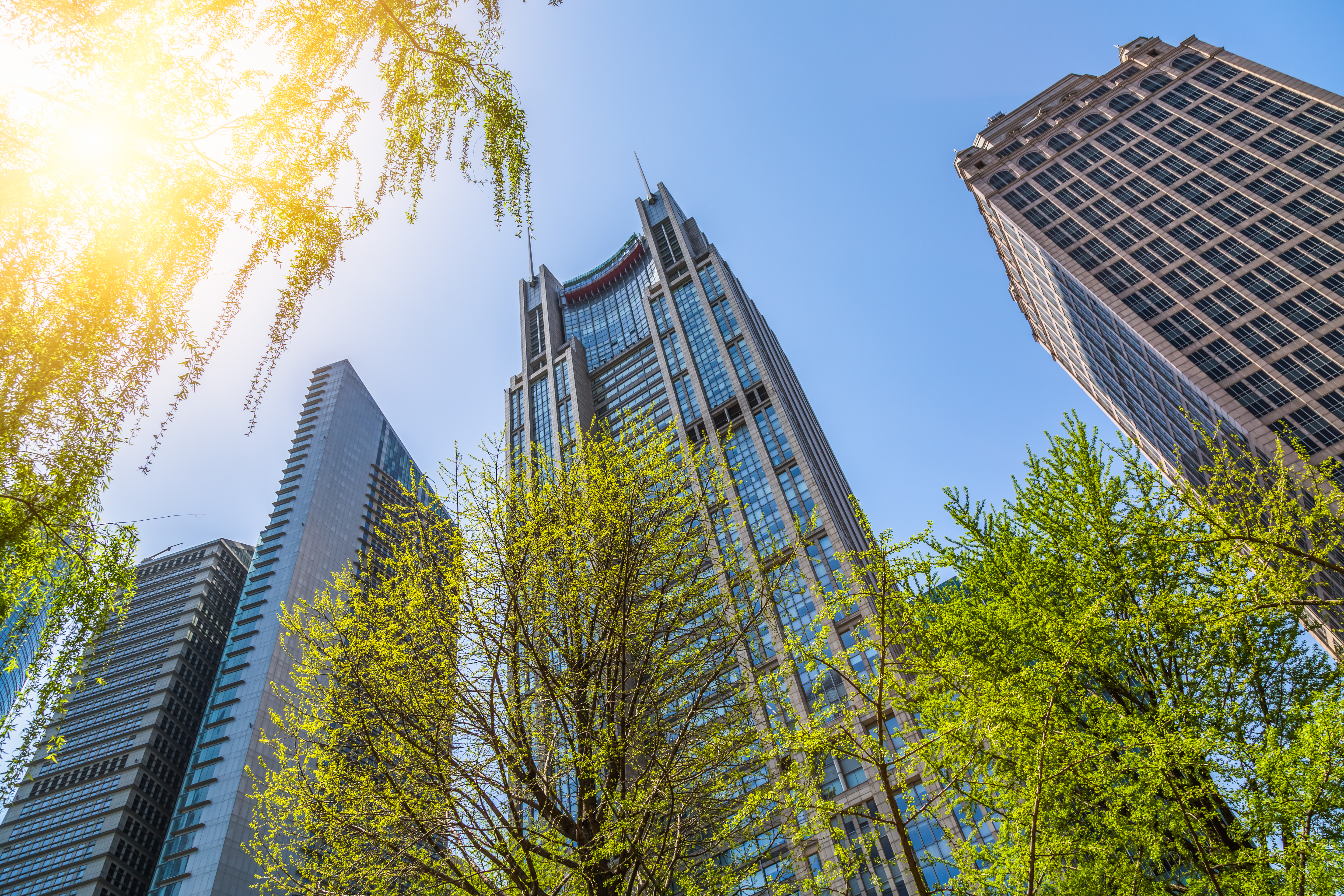 Green-Meetings-Building